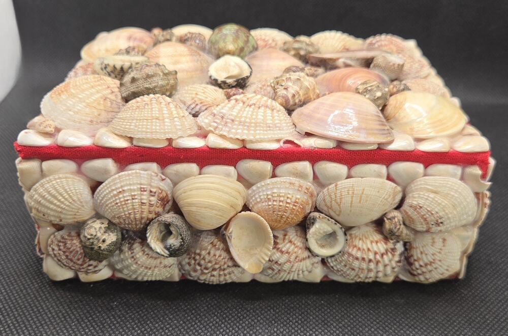 Vintage Handmade Handcrafted Sea Shell Jewelry Box Trinket Box 6 X 4.5 Inch